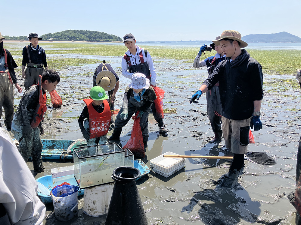生物観察会の状況（水産大学校　南條楠土准教授）