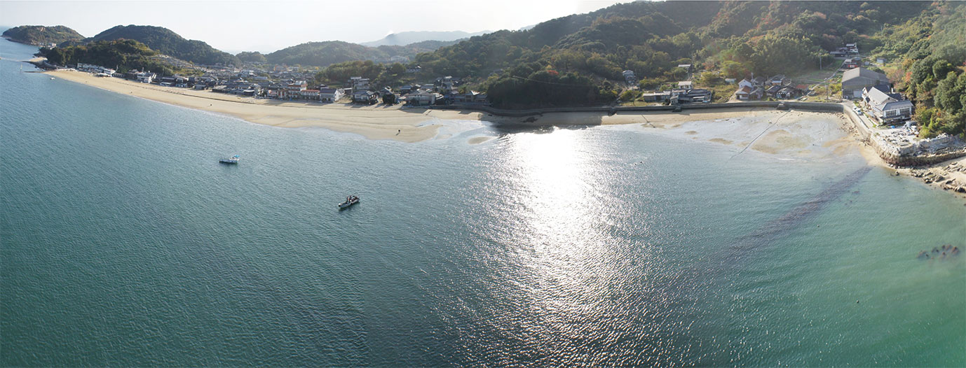 アマモ場　海岸環境整備事業（岡山県白石島海岸）