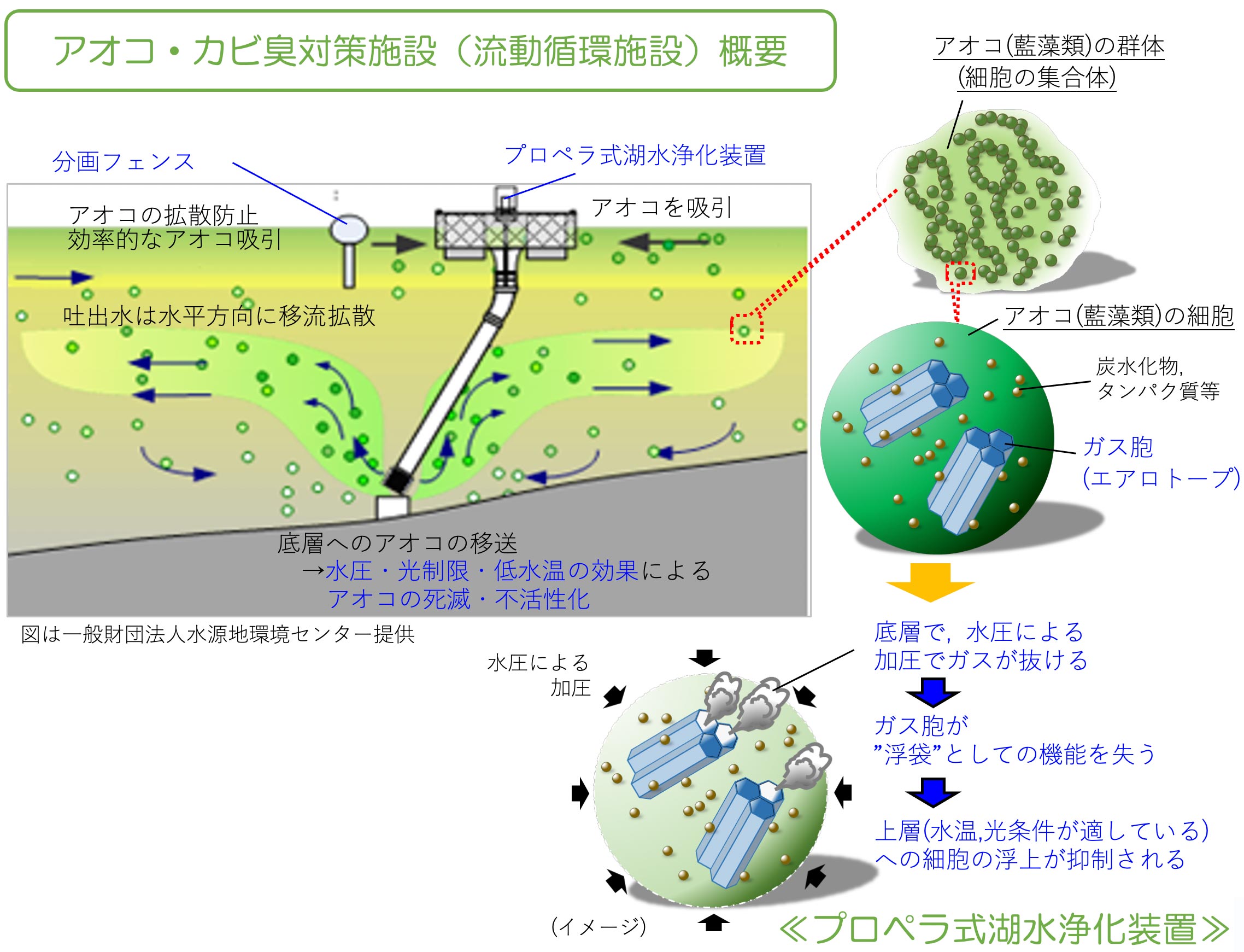 アオコ・カビ臭対策施設（流動循環施設）概要