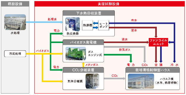 下水汚泥の有効利用